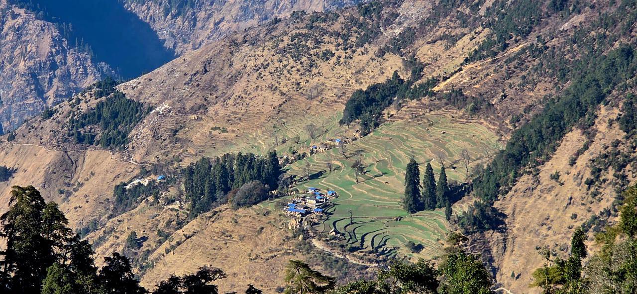 बड्डी ज्यावन : आस्था, इतिहास र रहस्यको संगम