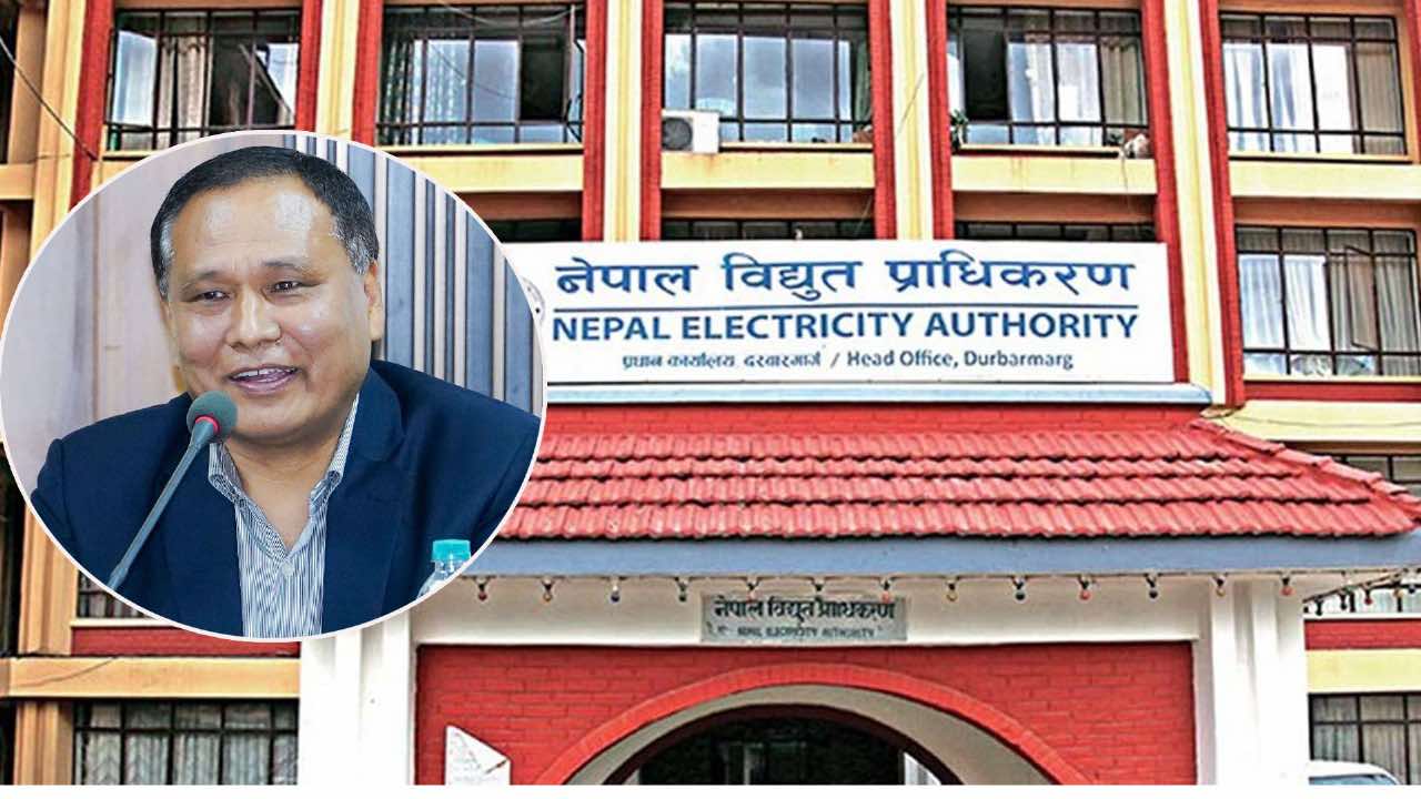 नाफा होइन नोक्सानमा चल्दै आएको थियो प्राधिकरण