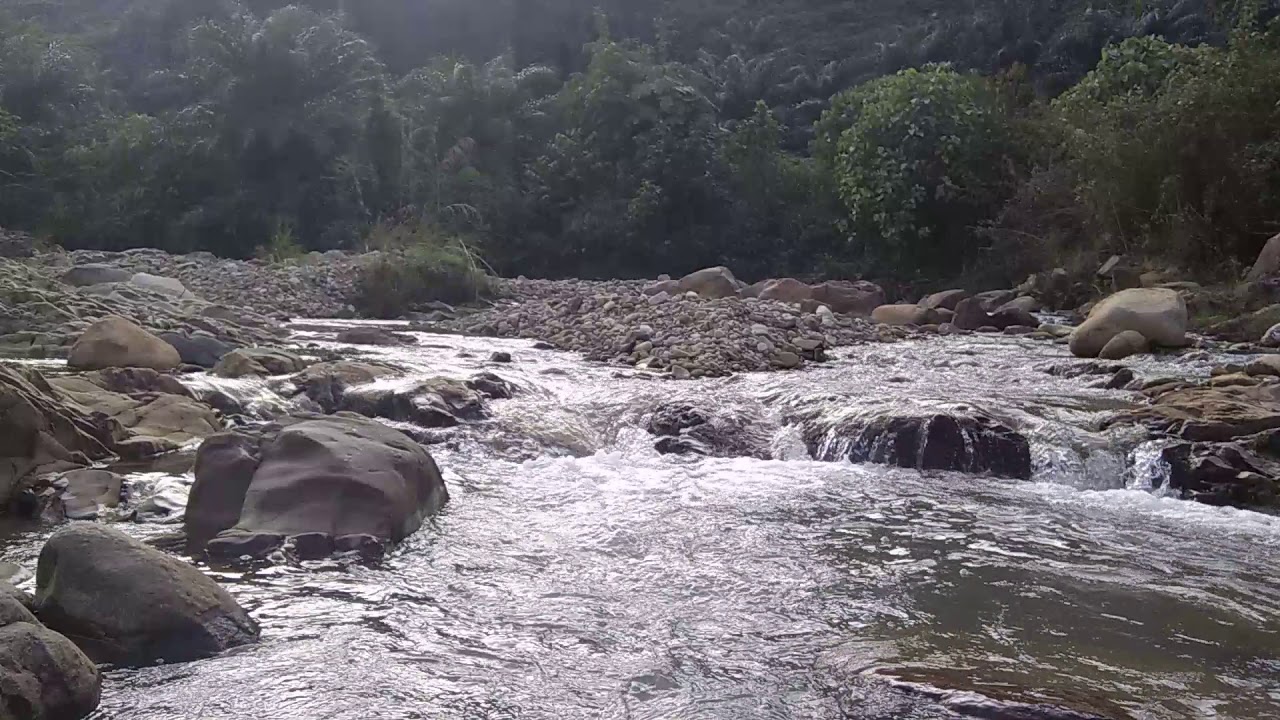 एक सय २५ खानेपानी मुहानमा ‘कोलिफर्म’ फेला