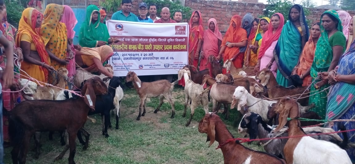 स्वावलम्बी समूहका सदस्यहरूलाई ५० वटा बिउ पाठी वितरण