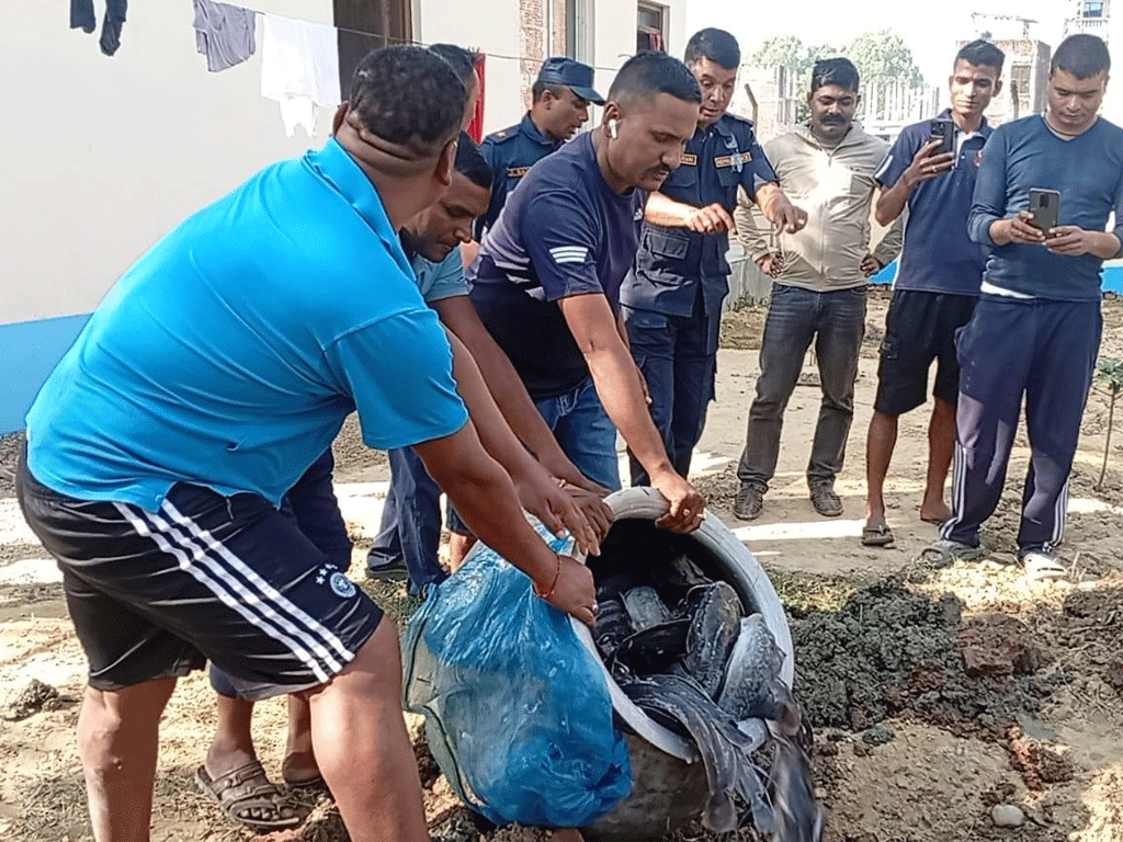 प्रतिबन्धित मुङ्ग्री माछा नष्ट