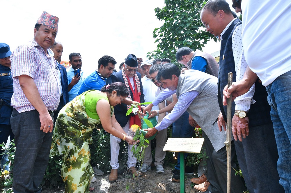 ‘एक युवा पाँच बिरुवा’ अभियानको शुभारम्भ