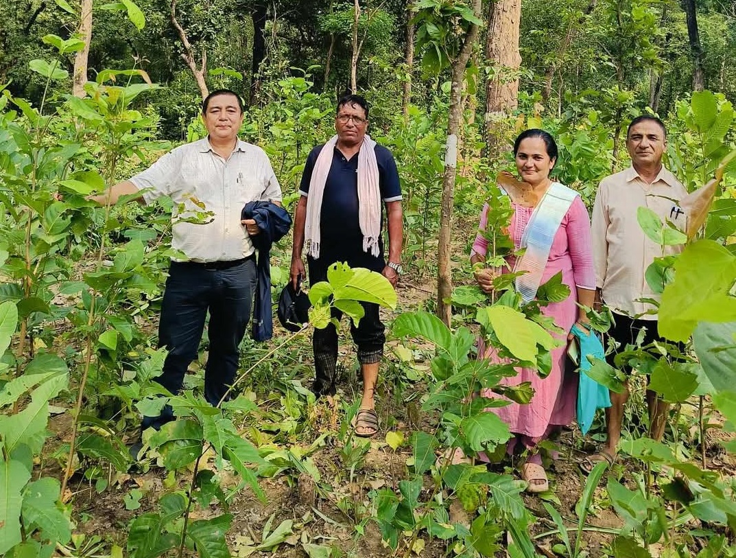 सामुदायिक वनको आम्दानीले युवालाई रोजगारी