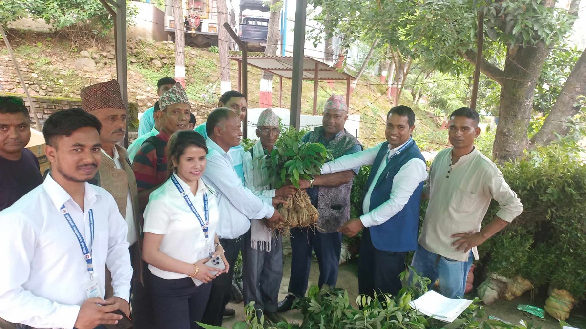 सन्धिखर्कका किसानलाई फलफूलका बिरुवा वितरण