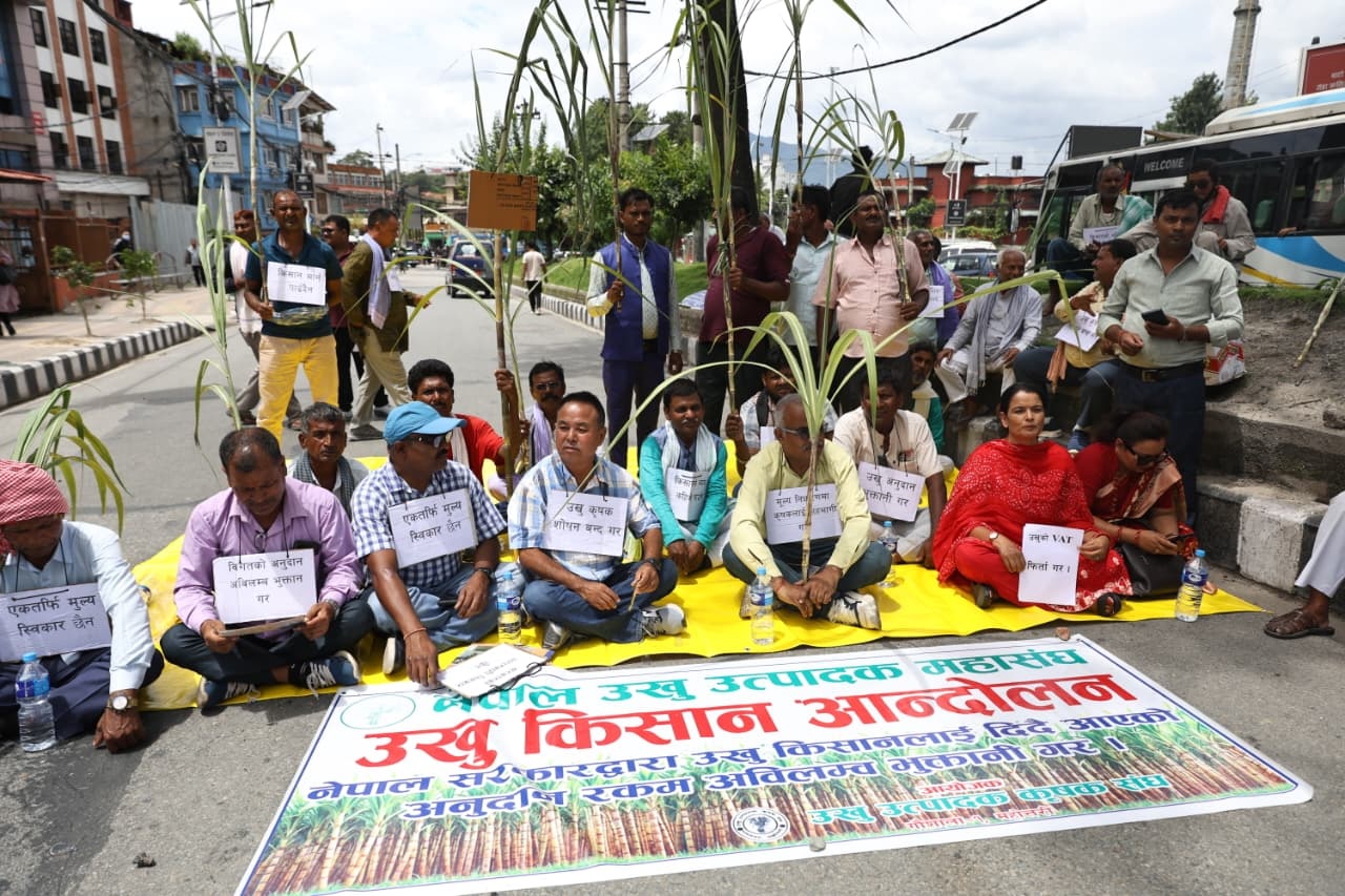 जहिल्यै मारमा उखु किसान : टुटेन माइतीघरको बसाइ, छुटेन नेताहरूको आश्वासन