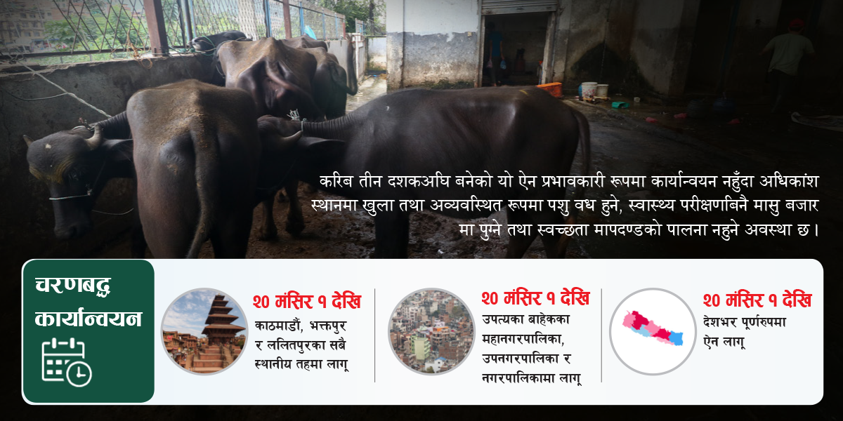 अब मासुको परीक्षण अनिवार्य, देशभर व्यवस्थित पशु वधशाला
