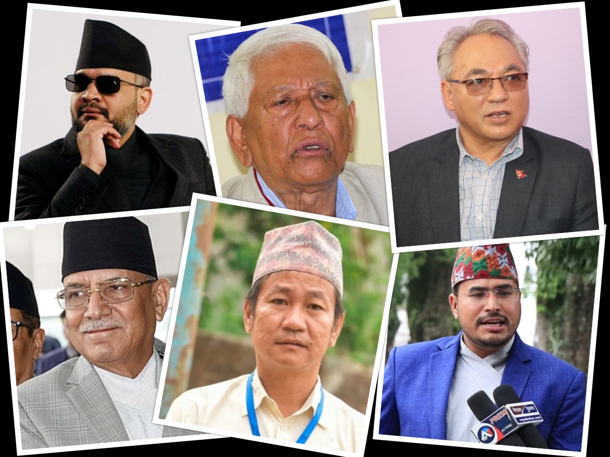 संसदीय दलको नेता चयनको दौडमा दलहरू