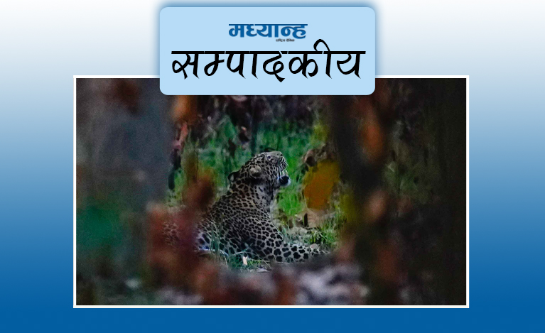 मानव–वन्यजन्तु द्वन्द्व घटाऊ