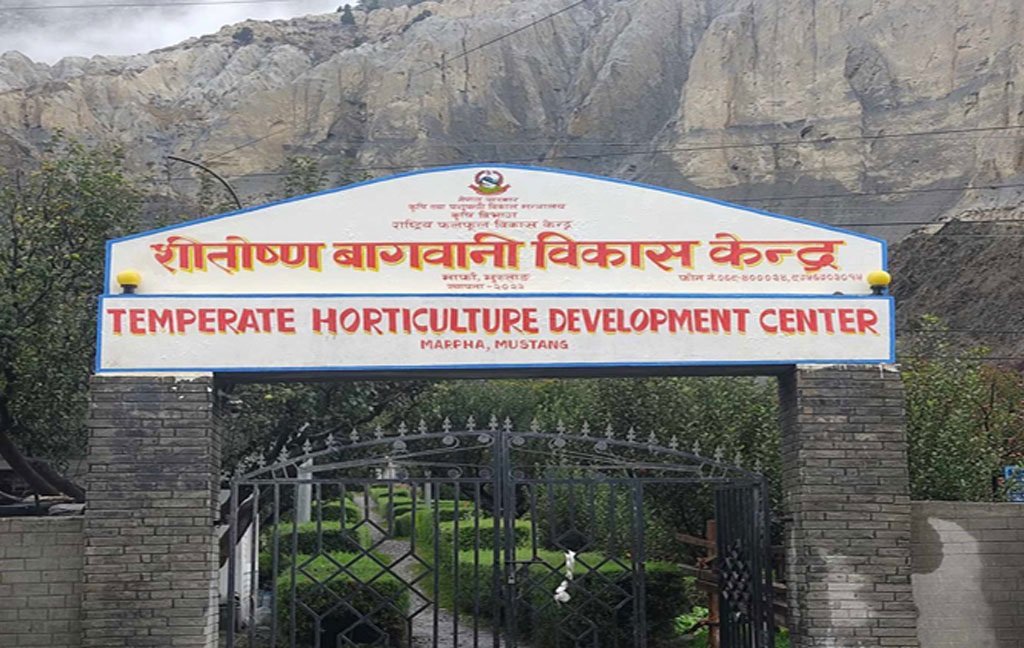 मुस्ताङमा फूलफूलखेती सिक्दै १४ जिल्लाका किसान