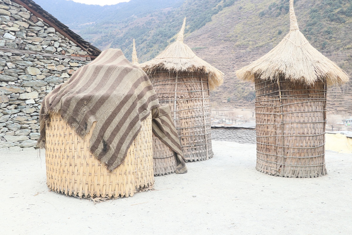 रुकुमपूर्वमा मकै भण्डारण गर्ने पुरानै शैली, परम्परा जोगाउने प्रयास