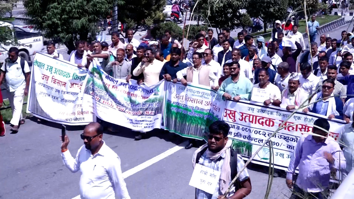 अनुदान माग गर्दै उखु किसान सडकमा