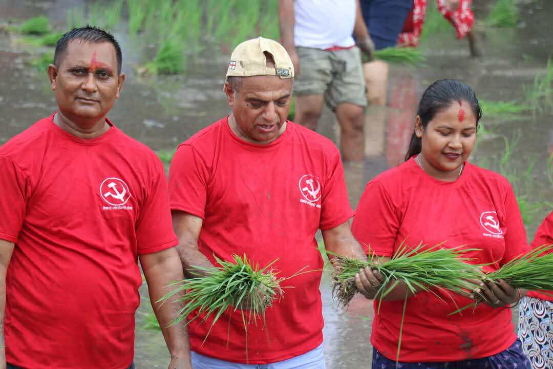कपिलवस्तुमा धान दिवस: राजा शुद्धोधनको धान महोत्सवको स्मरण