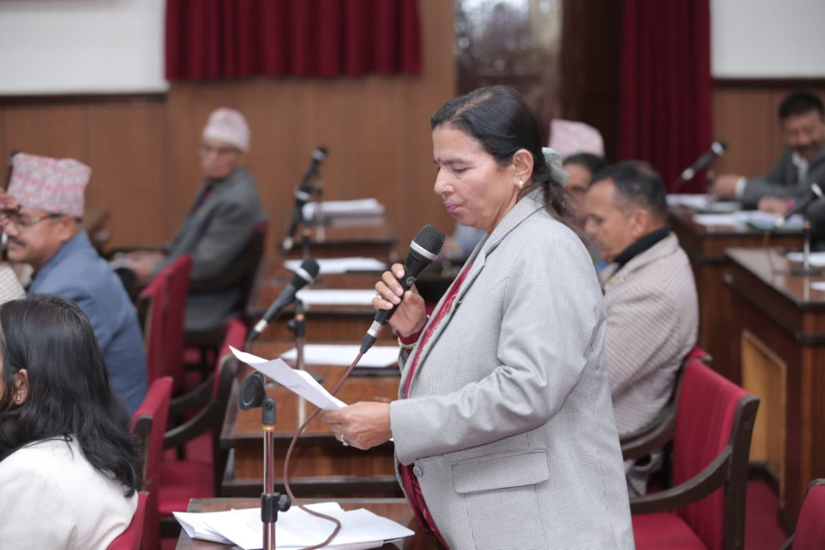 'चुनावी अभियानमा राष्ट्रिय झन्डाको प्रयोग गर्न रोक लगाइयोस्'