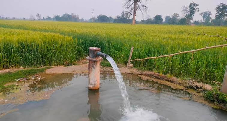 रुपन्देहीमा बोरिङको भरमा धान रोपाइँ