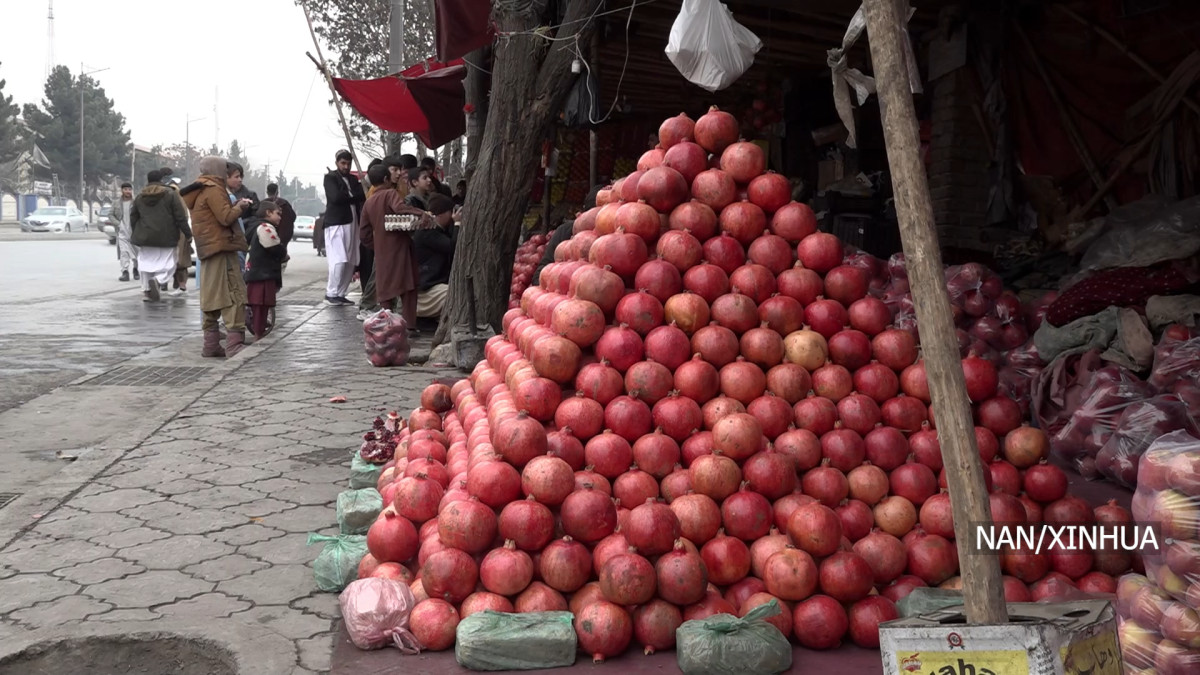 अफगानिस्तानद्वारा पहिलो पटक कतारमा अनार निर्यात