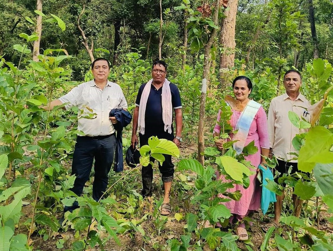 सामुदायिक वनको आम्दानीले गाउँ नै झिलिमिली