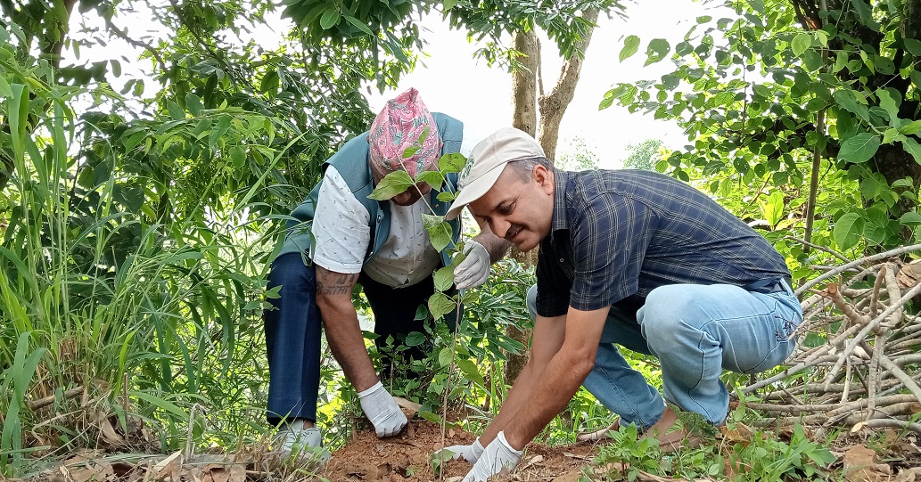 विश्व वातावरण दिवसको अवसरमा वृक्षारोपण