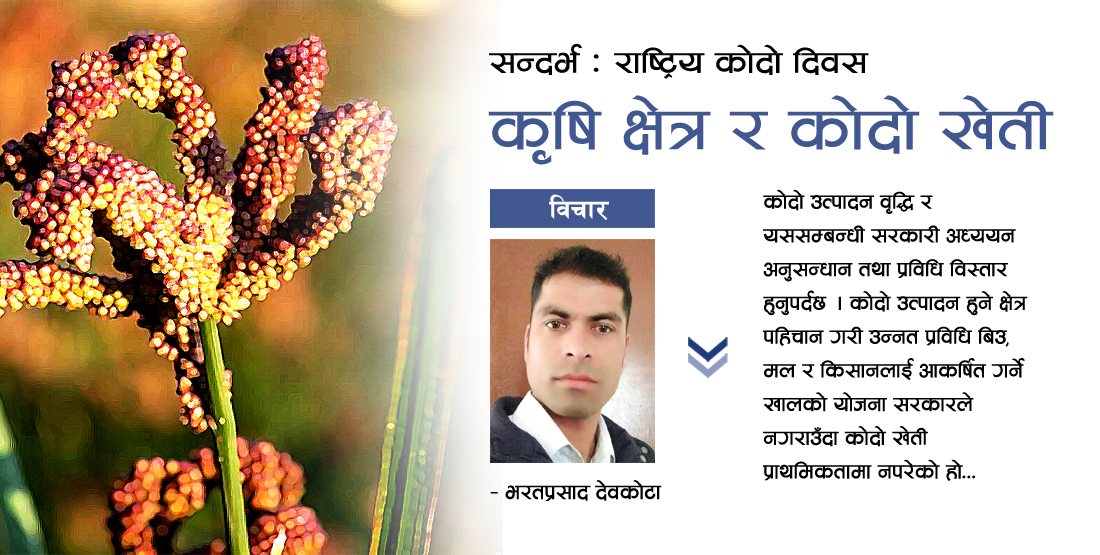कृषि क्षेत्र र कोदो खेती