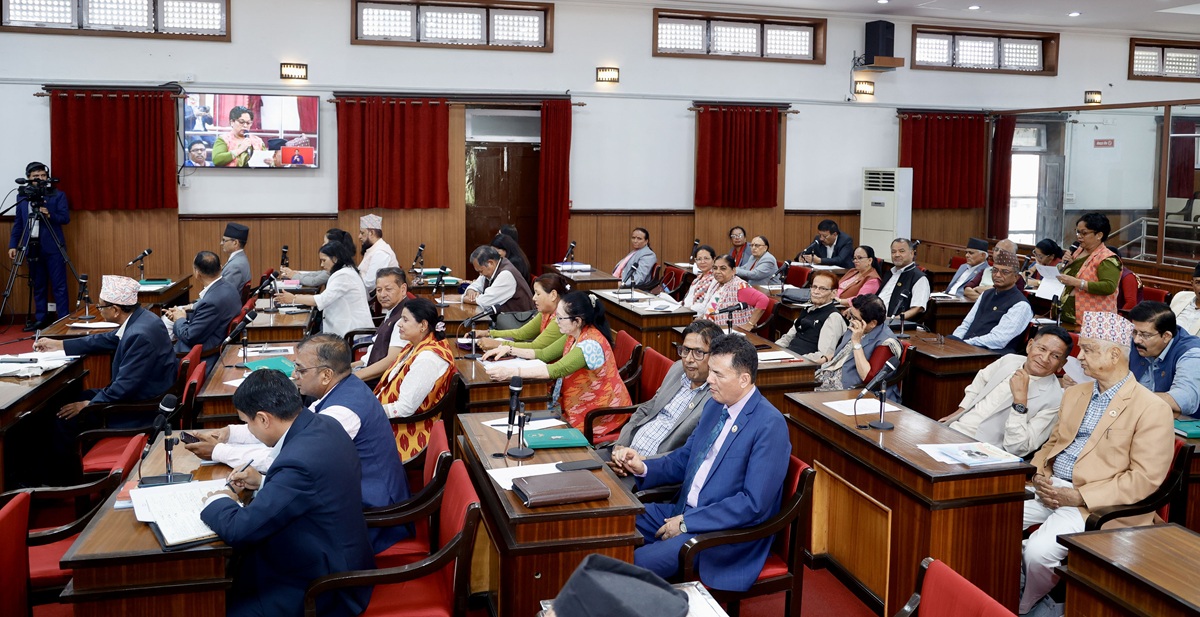 राष्ट्रिय सभामा जनसरोकारका विषयमा सरकारको ध्यानाकर्षण