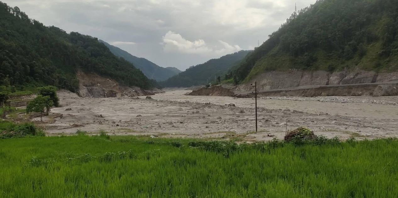 धानखेत बगरमा परिणत