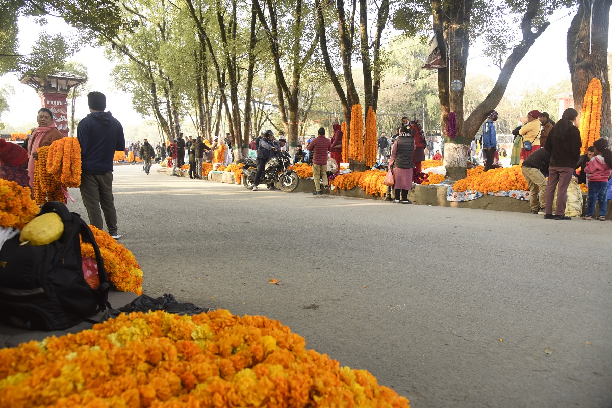 काठमाडौं महानगरले तोक्यो फूल बेच्‍न ४६ स्थान