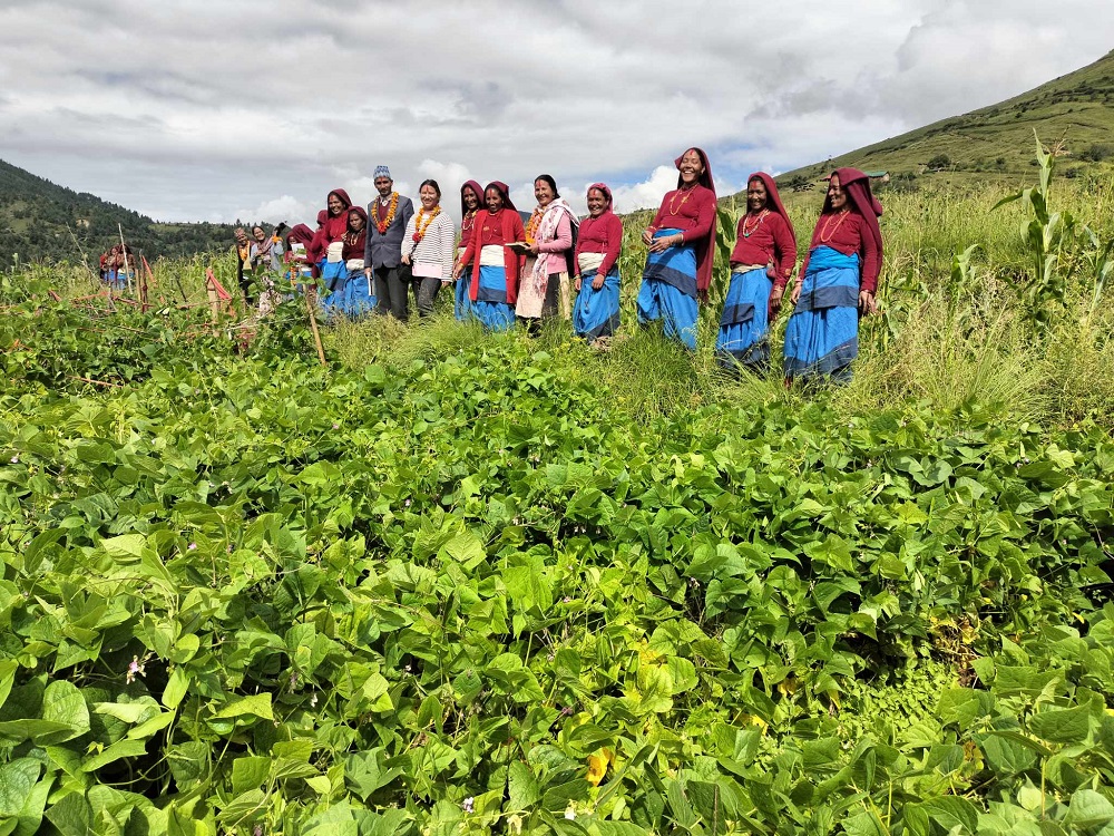 आधुनिक कृषितर्फ जुम्लाका महिला