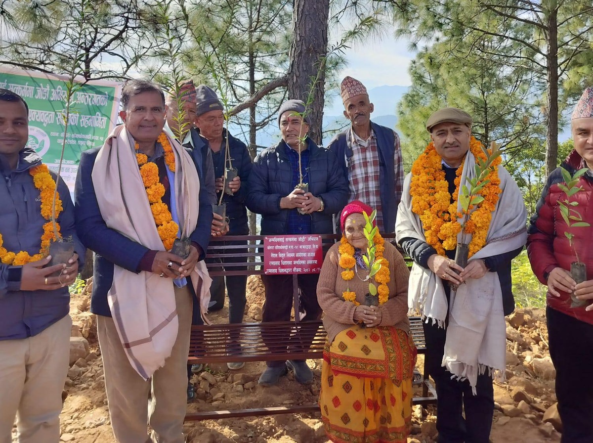 जन्मदिनमा आयोगका अध्यक्ष धितालले रोपे वृक्ष