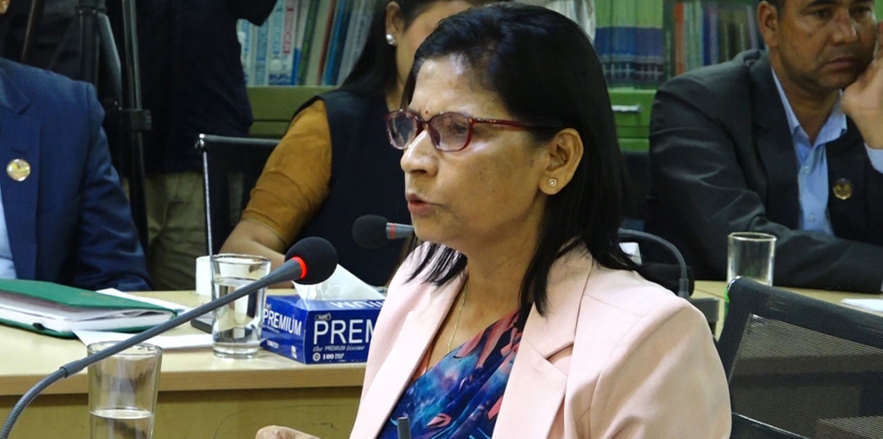 क्षेत्राधिकारको स्पष्ट सीमांकन नभए सुरक्षा निकायबीच द्वन्द्व हुनसक्छ : उपनेता अर्याल