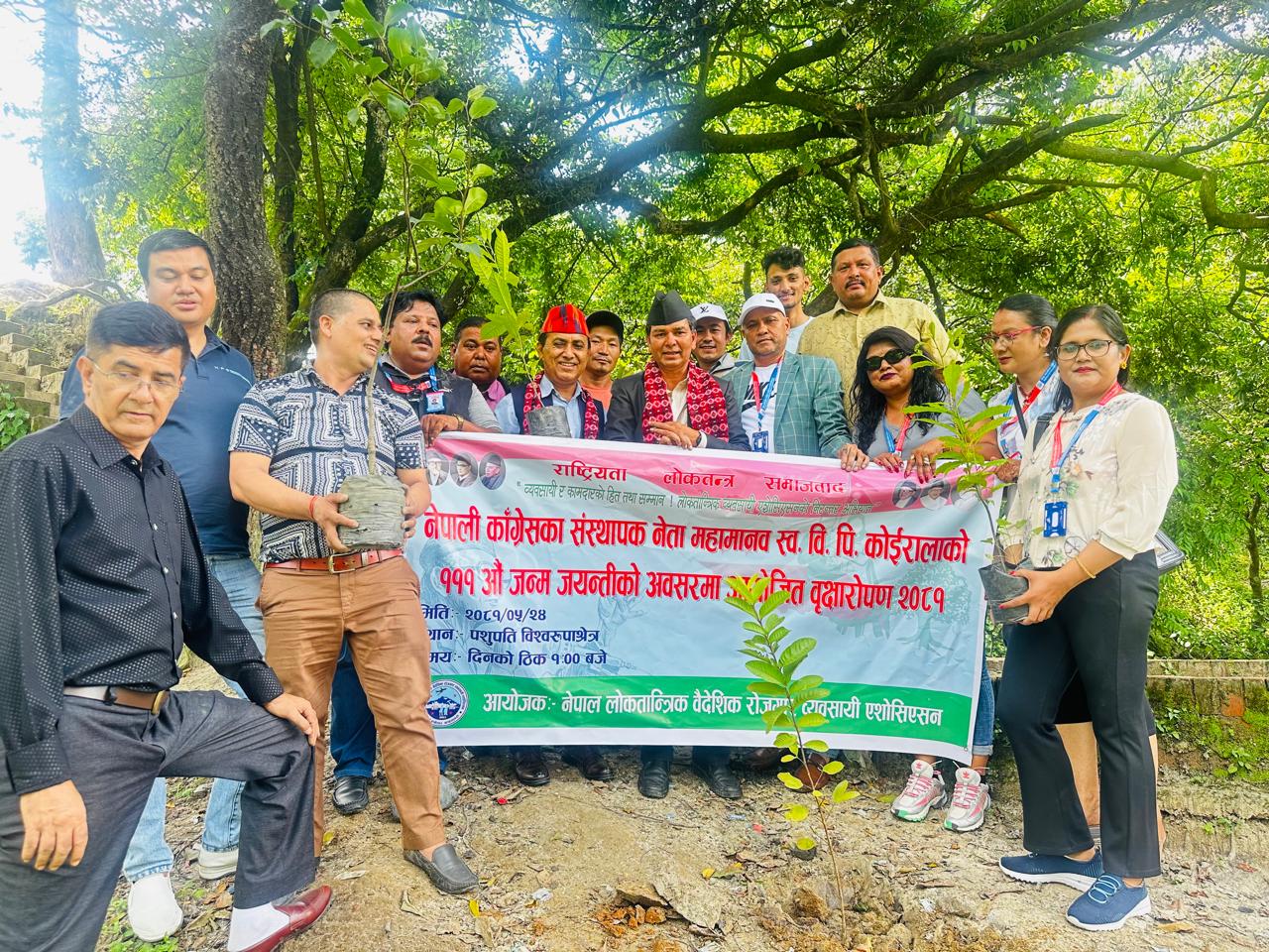 लोकतान्त्रिकद्वारा बीपी जयन्तीको अवसरमा वृक्षारोपण