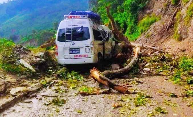 अपडेट : गुडिरहेको माइक्रो बसमाथि रुख ढल्दा नौ यात्रु घाइते