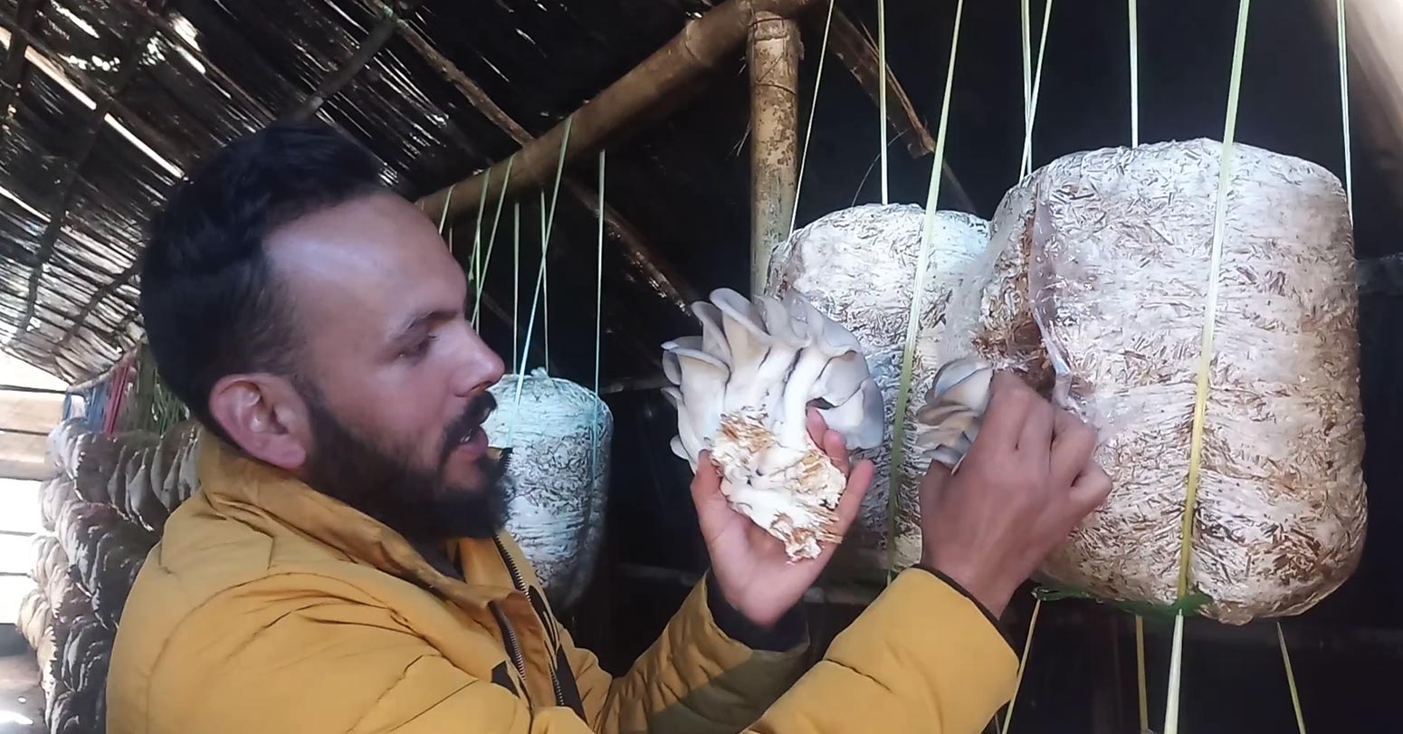 च्याउ बेचेर वार्षिक २५ लाख आम्दानी गर्दै मौरडाका खेमराज