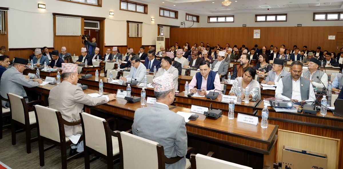 सार्वजनिक लेखा समितिको बैठकमा सचिवहरूले के भने ?
