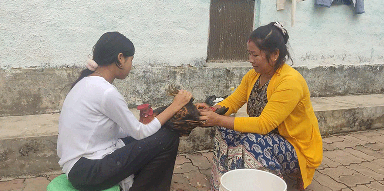 दाङको पहिचान बन्दै बधिया भाले, फस्टाउँदै व्यापार