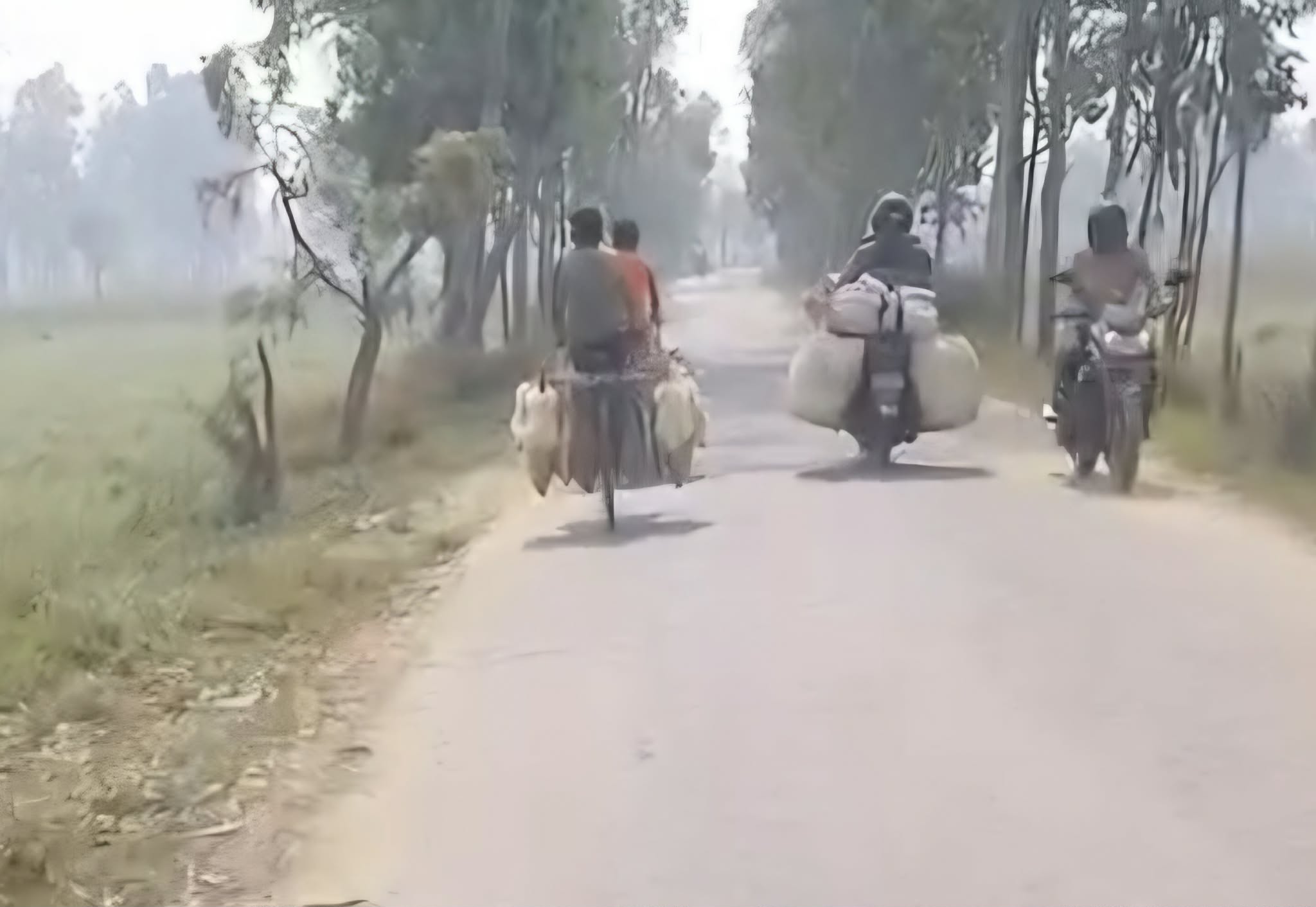 ​रामपुरखाप नाकामा सुरक्षा निकायको मौनताः भारतीय कुखुराको अवैध तस्करीले नेपाली किसान धराशायी