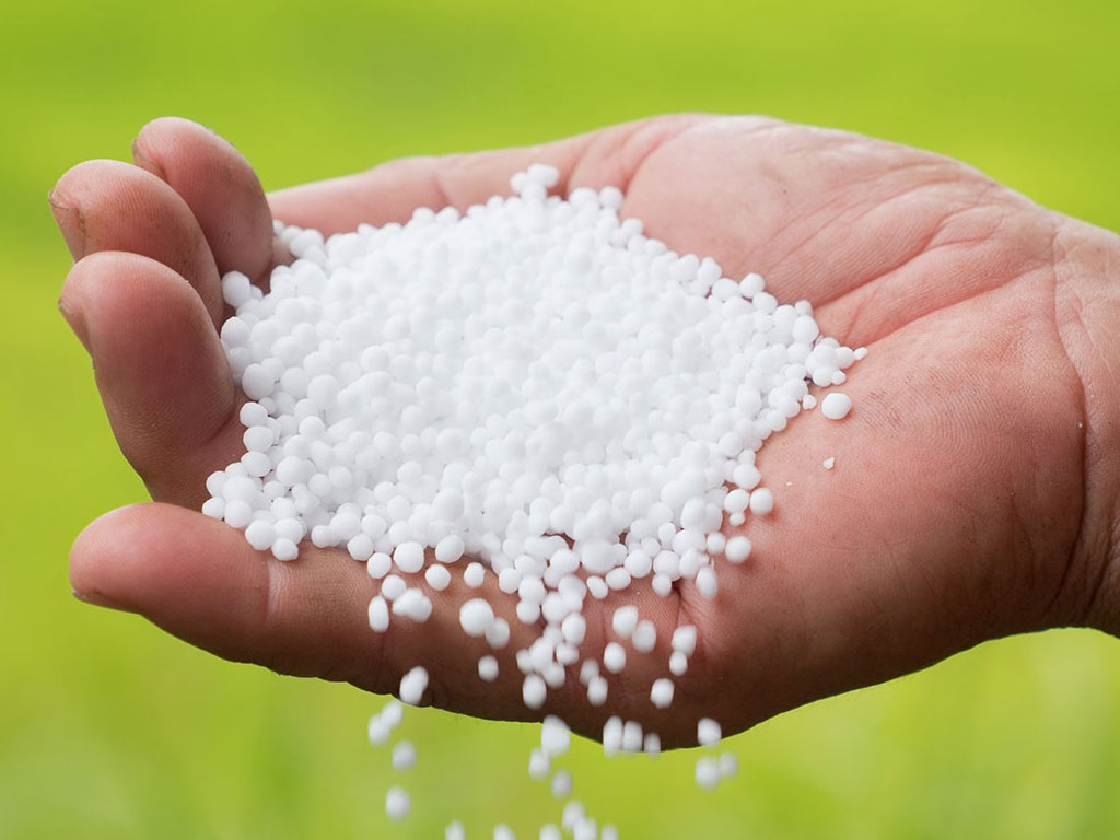 हिउँदे बालीका लागि रासायनिक मलको अभाव नहुने