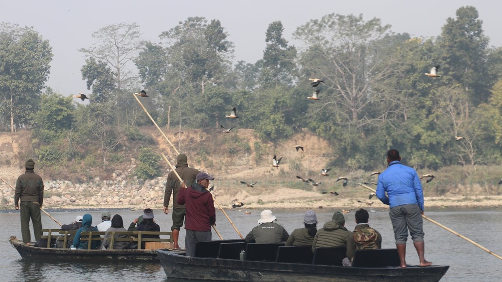 चितवनमा जलपन्क्षी गणना गर्न ५३ गणक खटिए