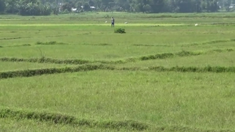 बाँझो जमिनमा खेती गर्नेलाई अनुदान 