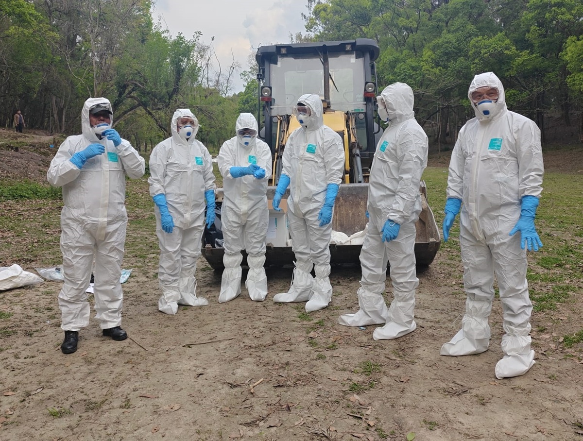 त्रिवि परिसरमा थप ५० मृत काग फेला, आज टौदहवरपर अध्ययन गरिने