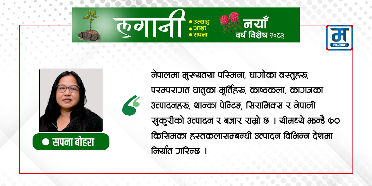 घरेलु हस्तकलाले जगाएको आशा