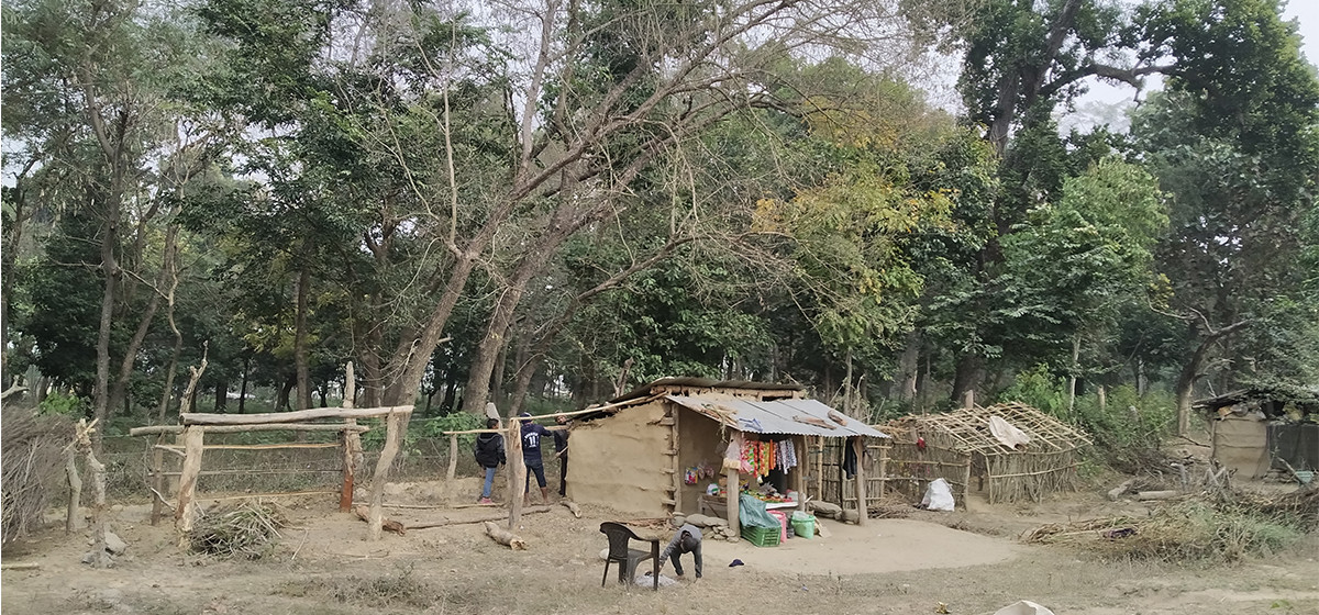 कैलालीमा चार सय हेक्टर बढी अतिक्रमित वन क्षेत्र खाली