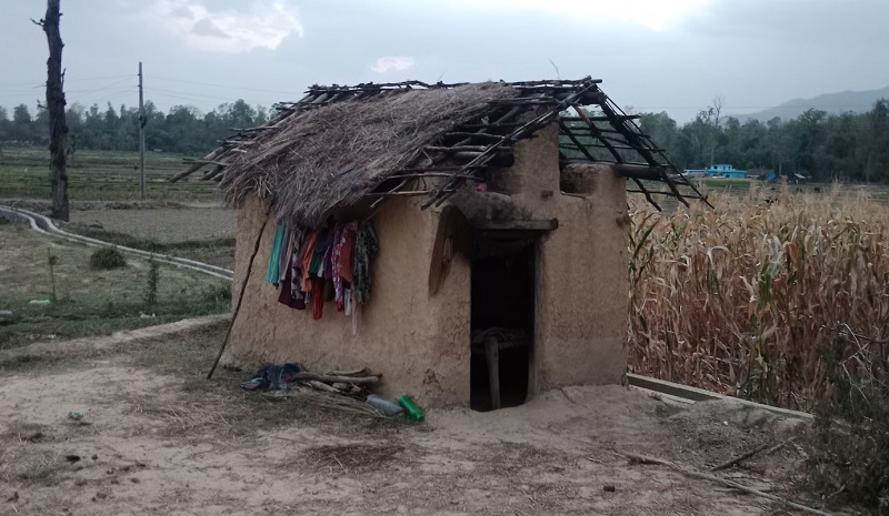 कृष्णपुरमा छाउगोठ भत्काउने अभियान