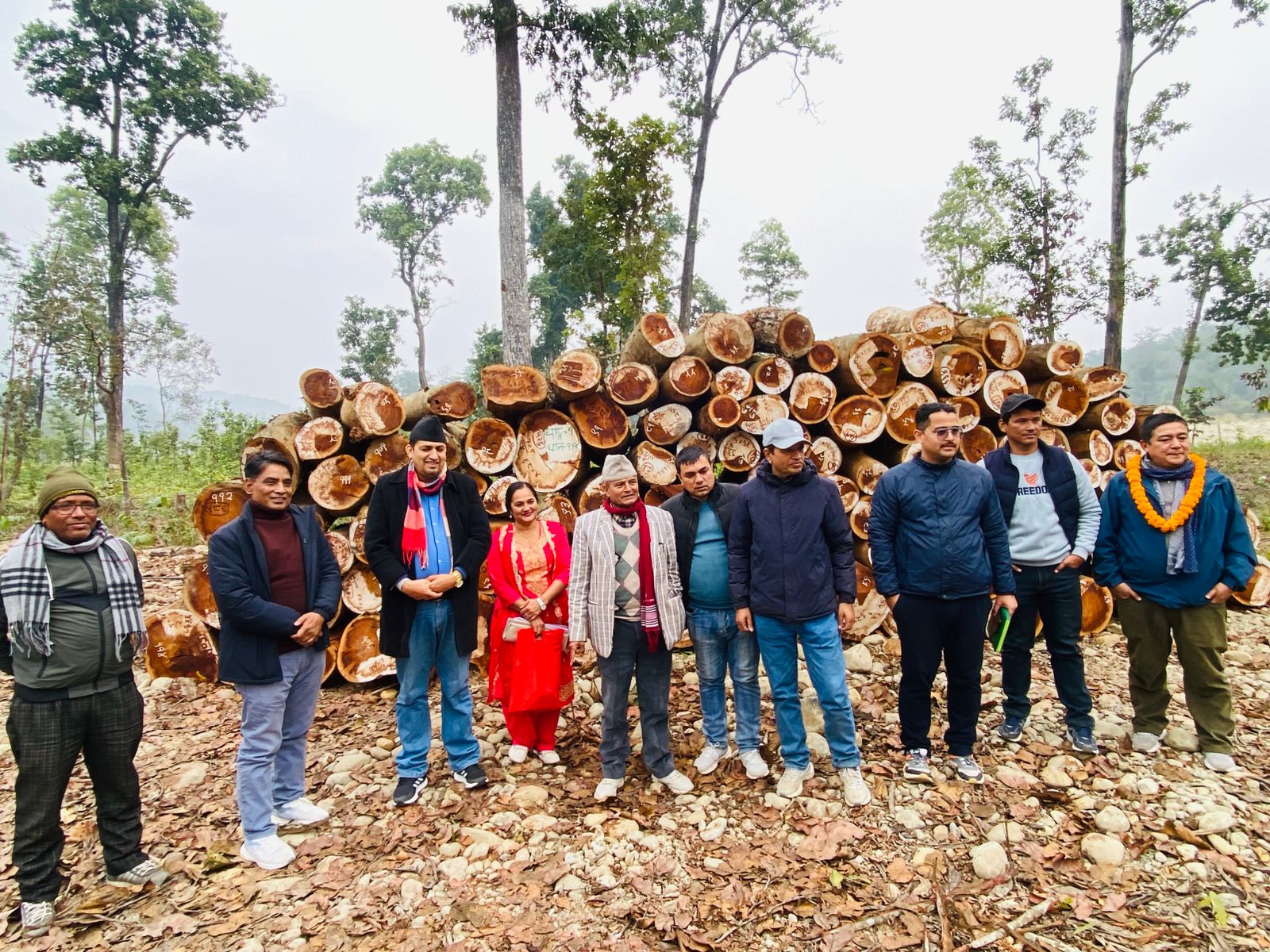 सामुदायिक वनको आम्दानीले गाउँ झिलिमिली