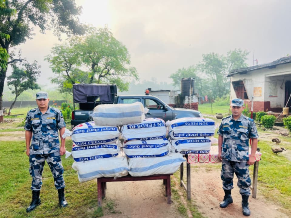 सिरहाबाट ठुलो परिमाणमा गाँजा बरामद