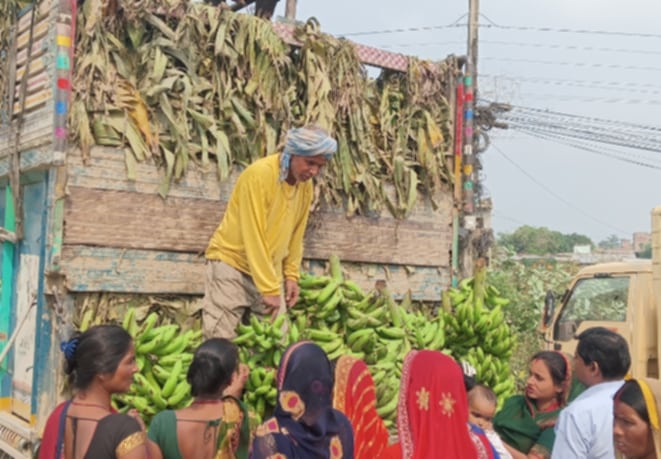 छठ पर्व नजिकिँदै गर्दा सिरहामा केराको मूल्यमा भारी वृद्धि