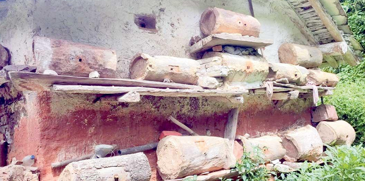 बाटो र भिरपाखामा समेत मौरीका घार, मह बेचेरै वार्षिक लाखौँ आम्दानी