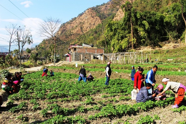 कर्णालीका दुःख : आफ्नो उत्पादनले पुग्दैन खान