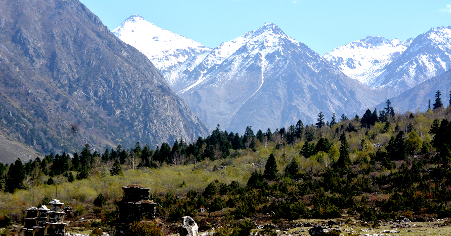 डोल्पामा जडीबुटीसहित चार जना पक्राउ