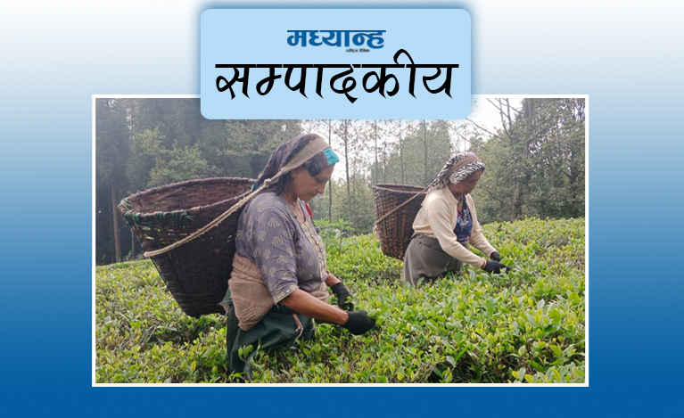 चियाको बजार विस्तार