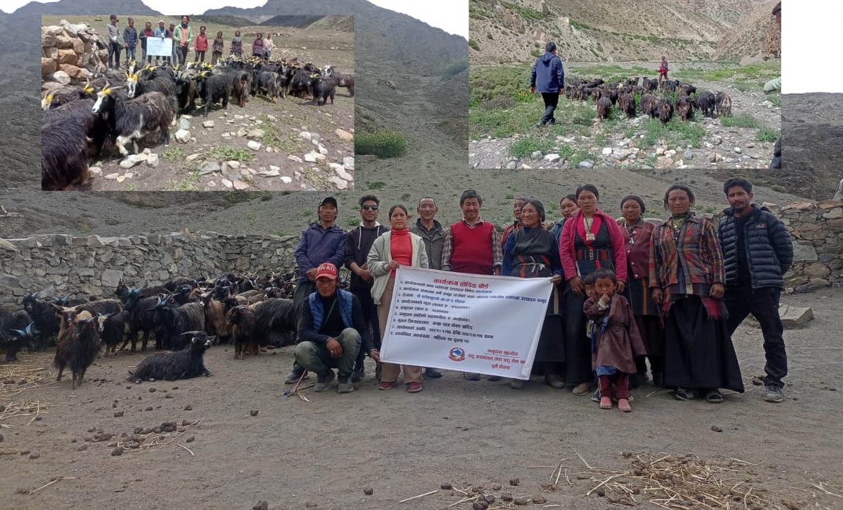 पशु सेवा कार्यालयद्वारा सञ्चालित अनुदानका कार्यक्रमको अनुगमन