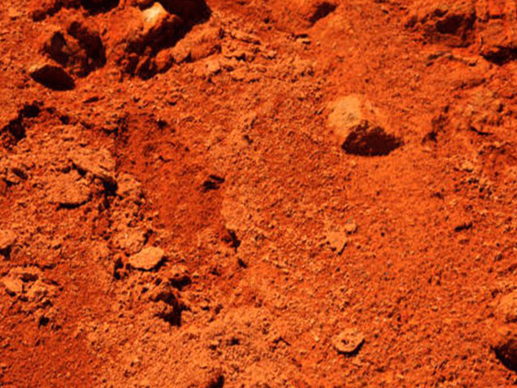 माटो बेचेर दसैँ खर्चको जोहो